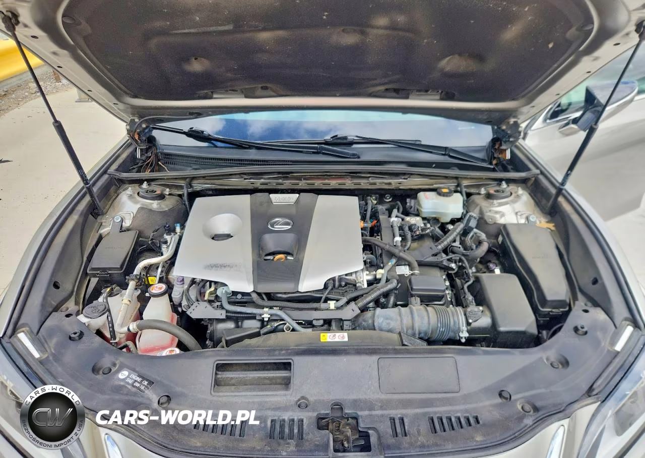2020 Lexus Es 300H VIN:58AD21B17LU004510 - 11