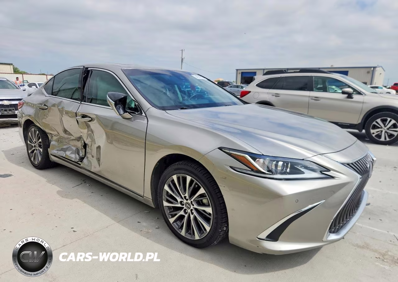 2020 Lexus Es 300H VIN:58AD21B17LU004510 - 4