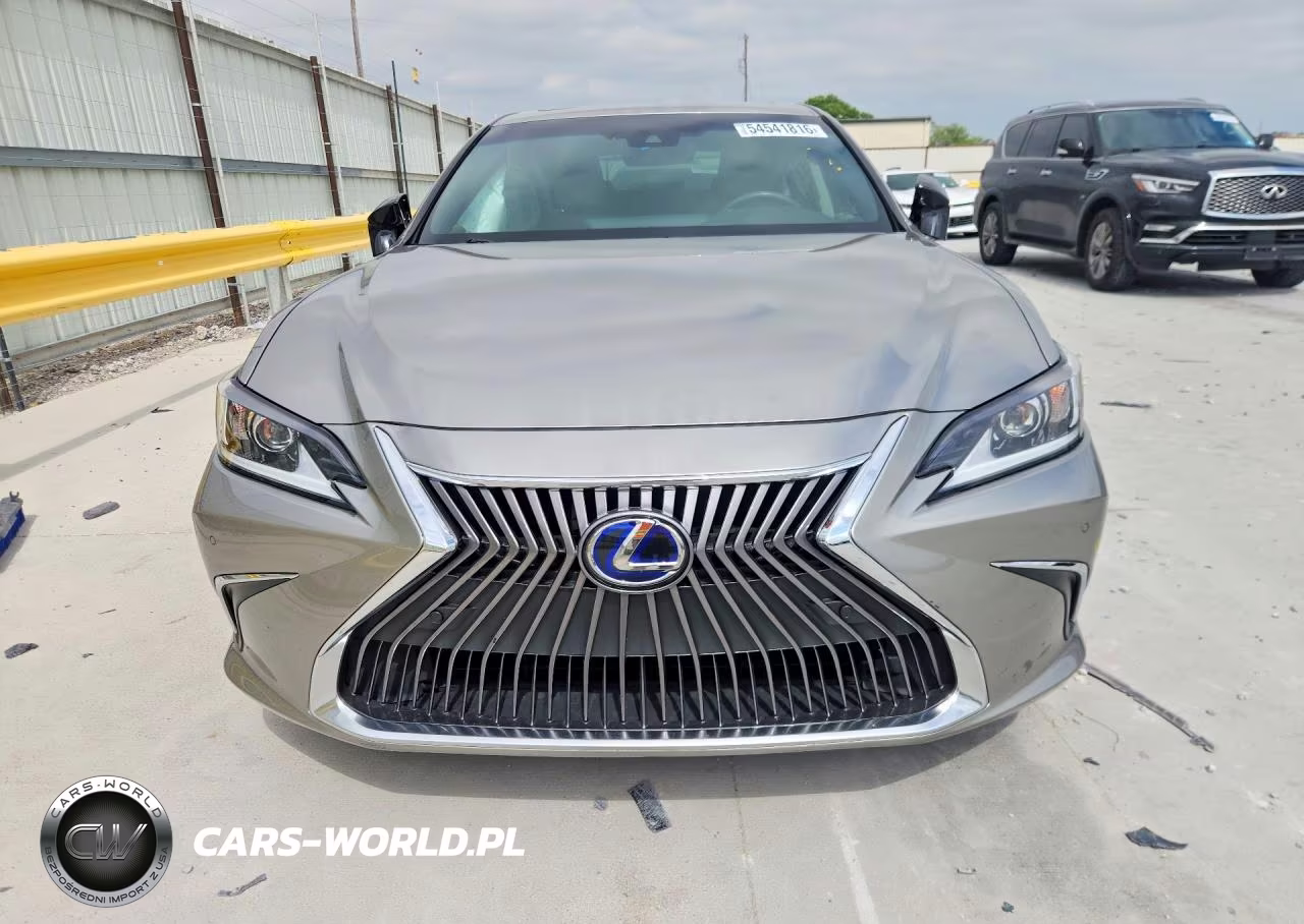 2020 Lexus Es 300H VIN:58AD21B17LU004510 - 5
