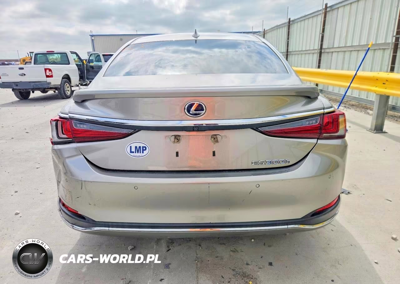2020 Lexus Es 300H VIN:58AD21B17LU004510 - 6