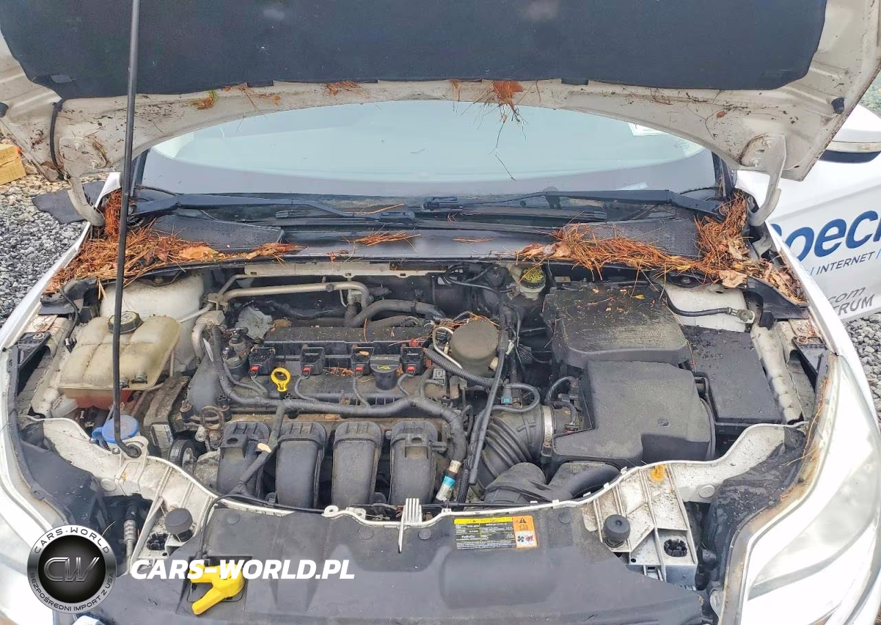 2013 Ford Focus Se VIN:1FADP3F20DL198239 - 11