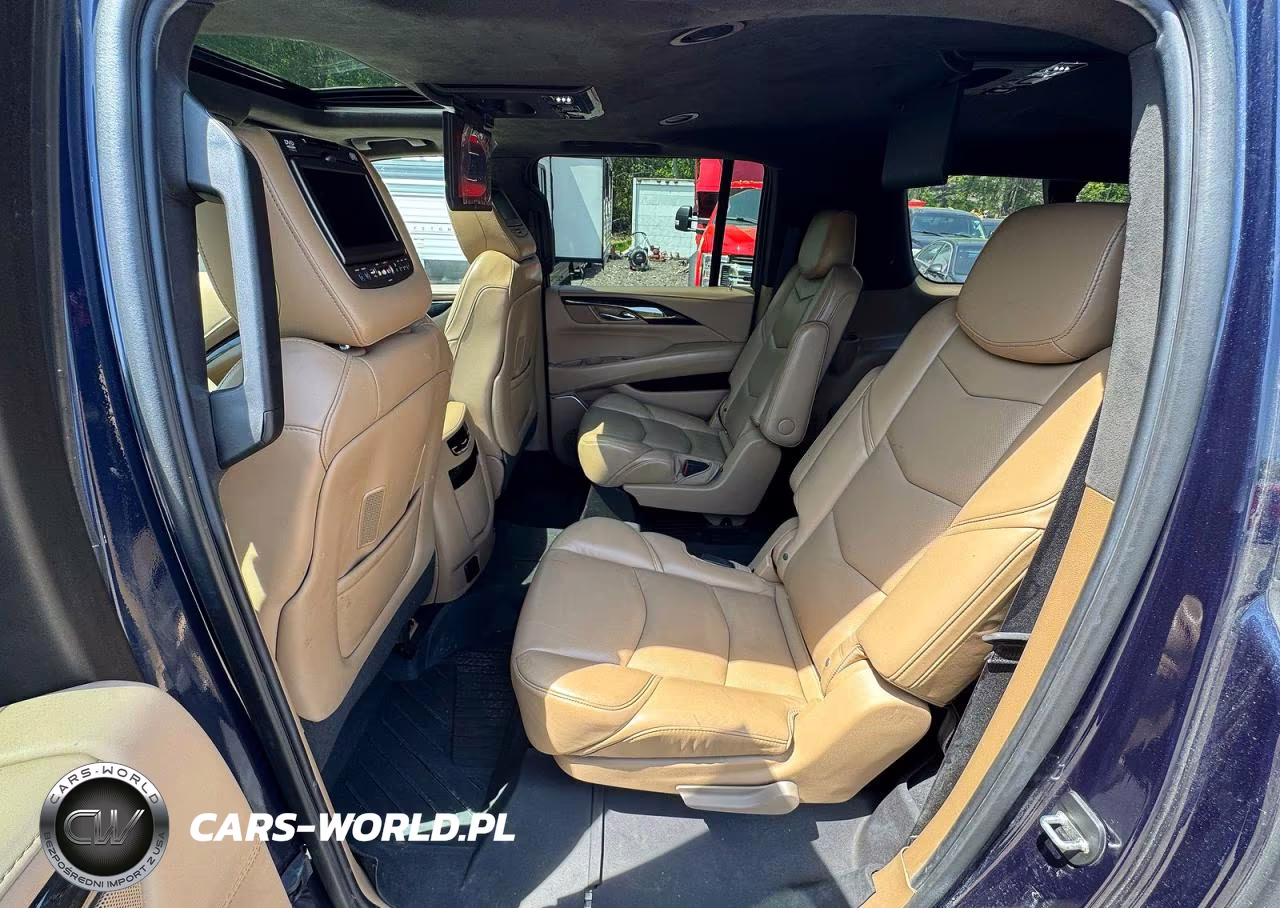 2019 Cadillac Escalade Esv Platinum VIN:1GYS4KKJ7KR114181 - 12