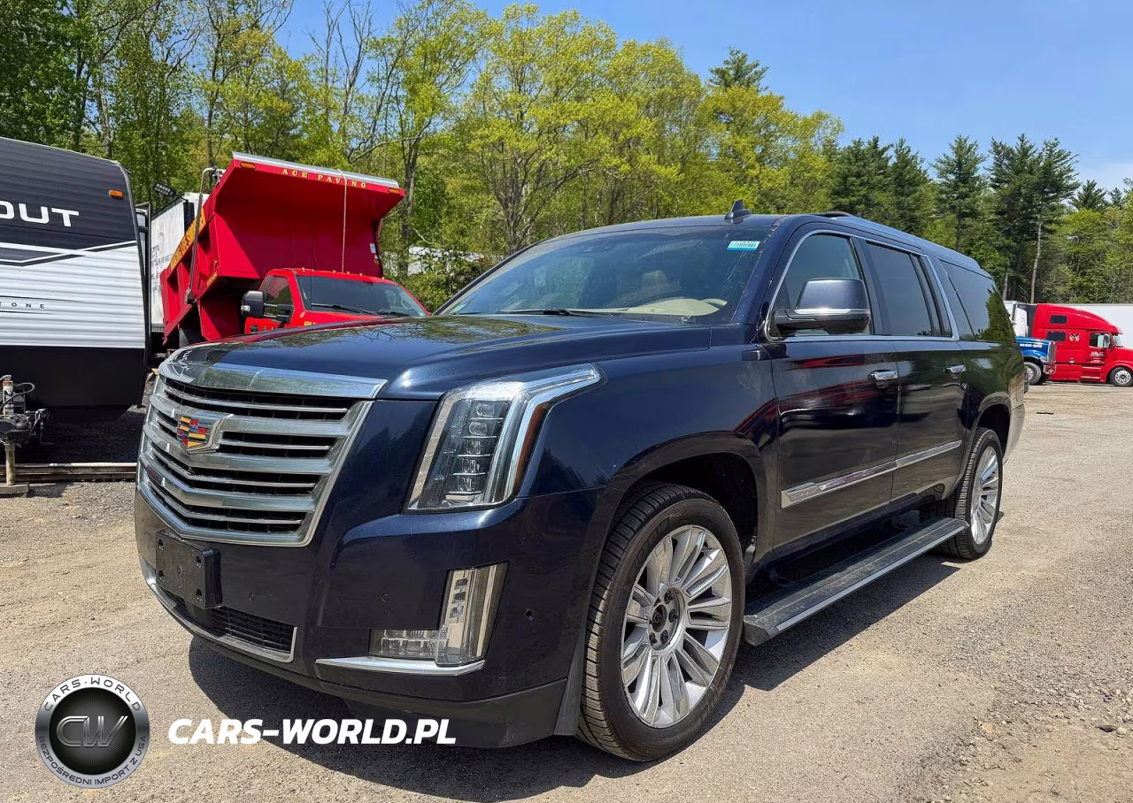2019 Cadillac Escalade Esv Platinum VIN:1GYS4KKJ7KR114181 - 2