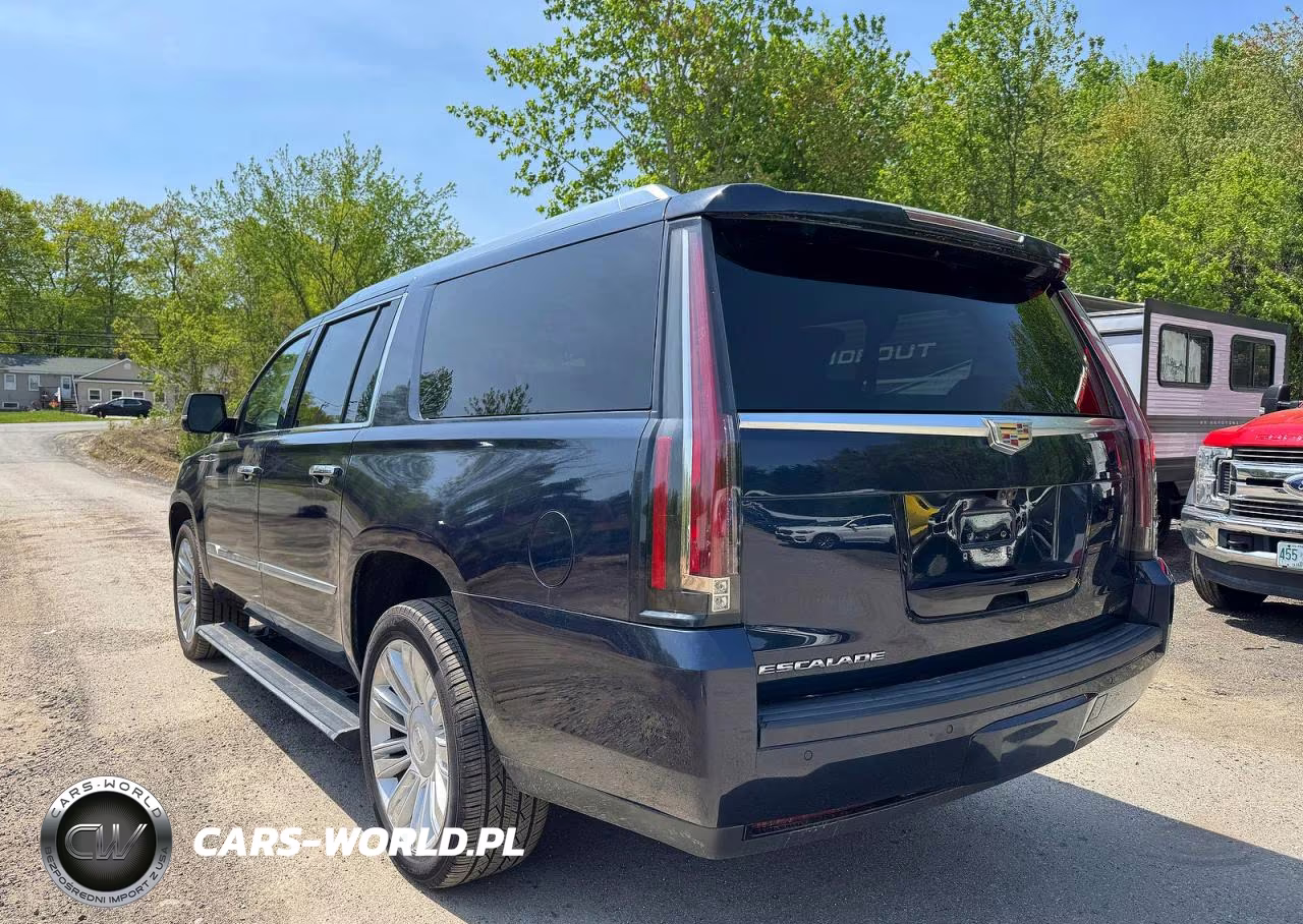 2019 Cadillac Escalade Esv Platinum VIN:1GYS4KKJ7KR114181 - 3