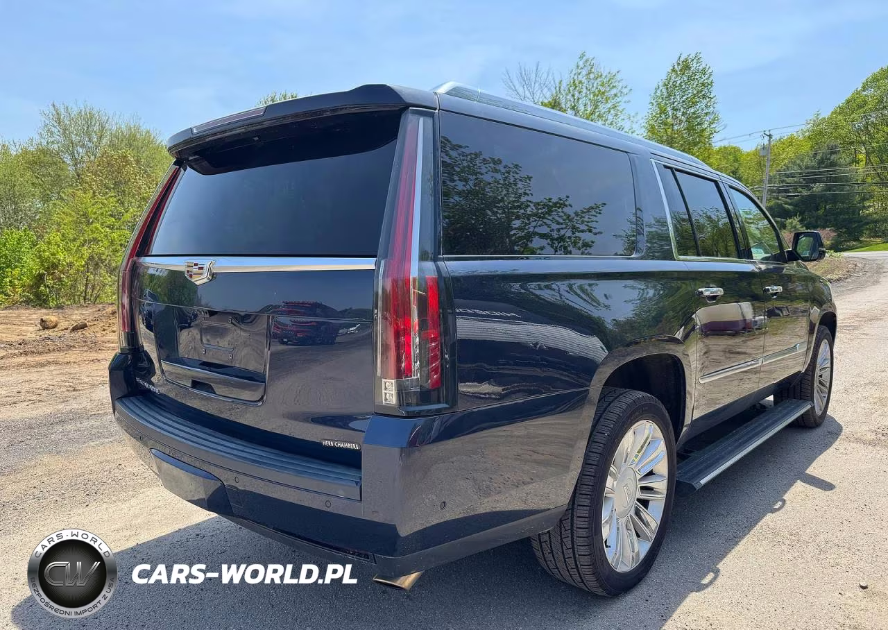 2019 Cadillac Escalade Esv Platinum VIN:1GYS4KKJ7KR114181 - 4