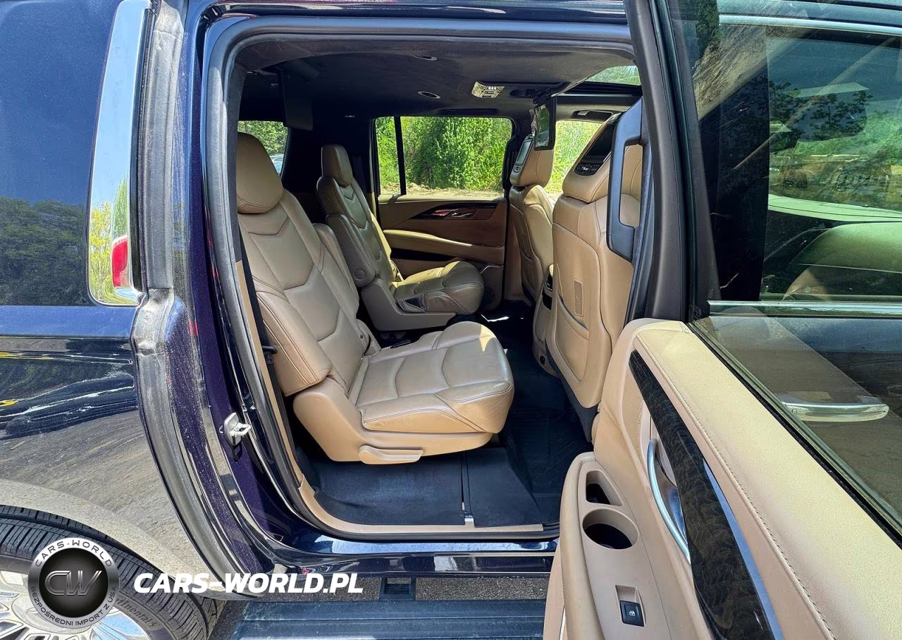 2019 Cadillac Escalade Esv Platinum VIN:1GYS4KKJ7KR114181 - 6