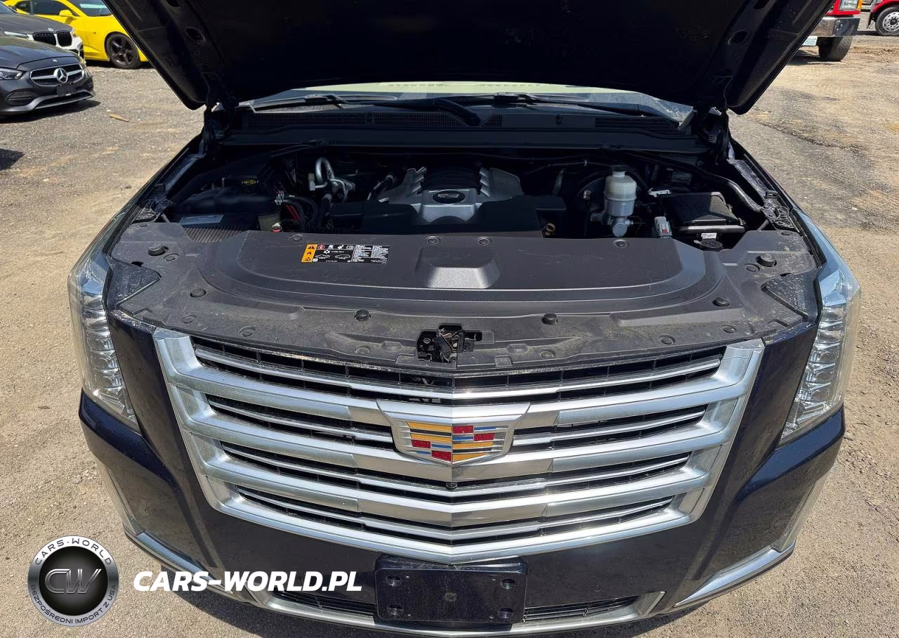 2019 Cadillac Escalade Esv Platinum VIN:1GYS4KKJ7KR114181 - 7