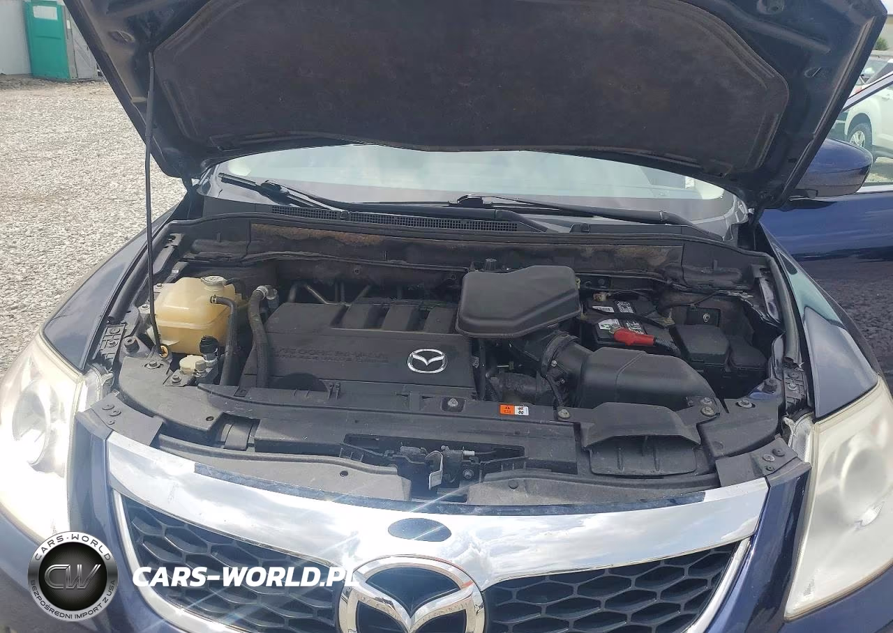 2010 Mazda Cx-9 VIN:JM3TB3MV7A0214975 - 12