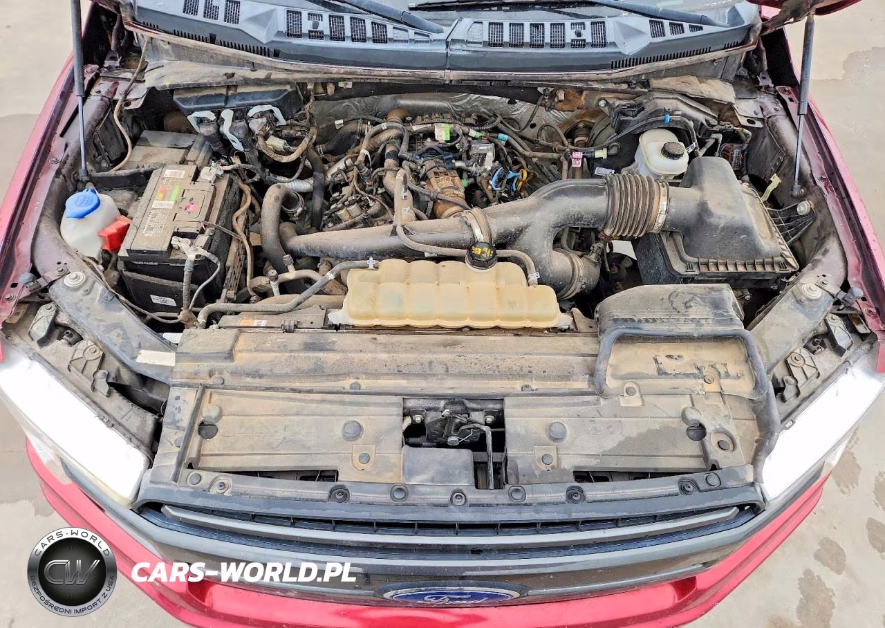 2019 Ford F150 Xlt VIN:1FTEW1EP2KKE47758 - 11
