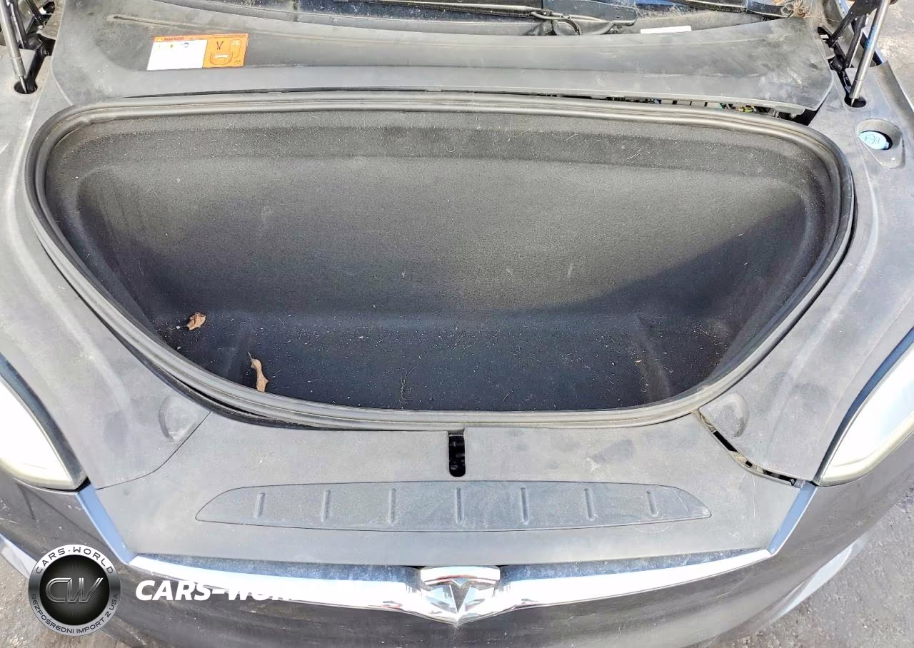2017 Tesla Model X VIN:5YJXCDE29HF052215 - 12