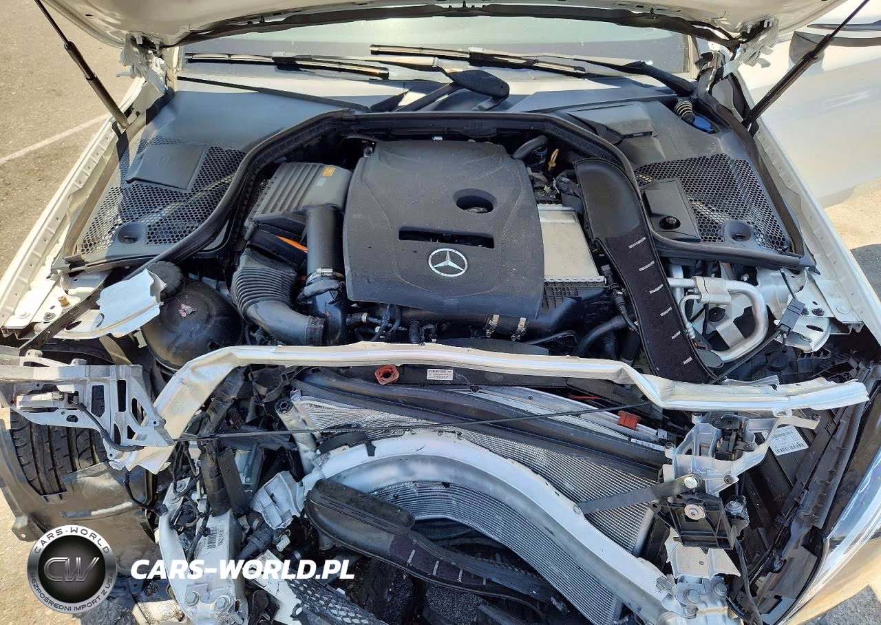 2018 Mercedes-Benz C 300 VIN:WDDWK4JB0JF669157 - 11