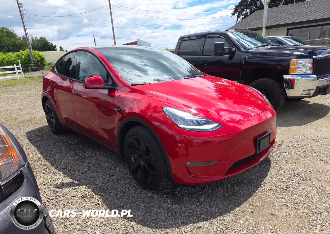 2021 Tesla Model Y