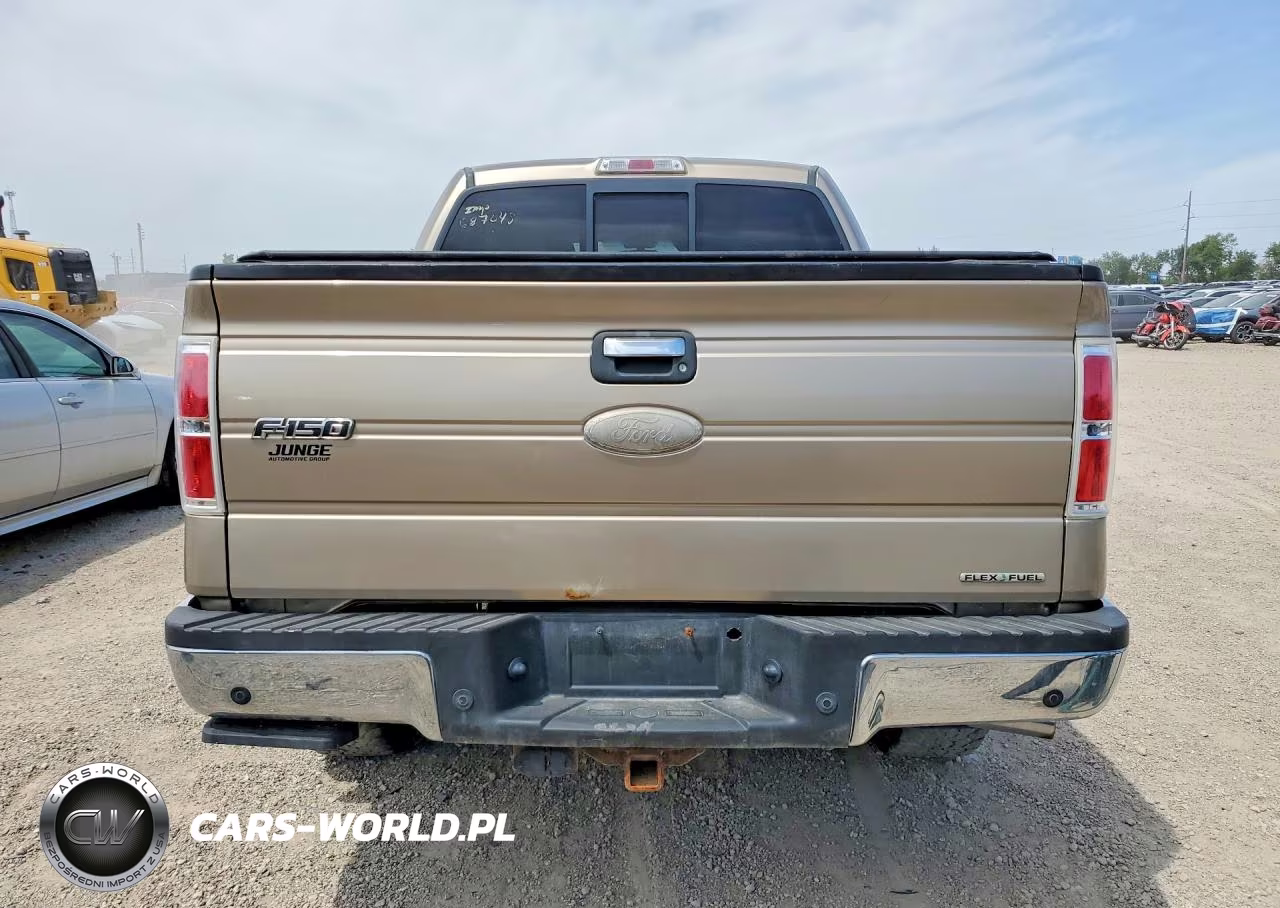2011 Ford F150 Supercrew VIN:1FTFW1EF8BFC87048 - 6