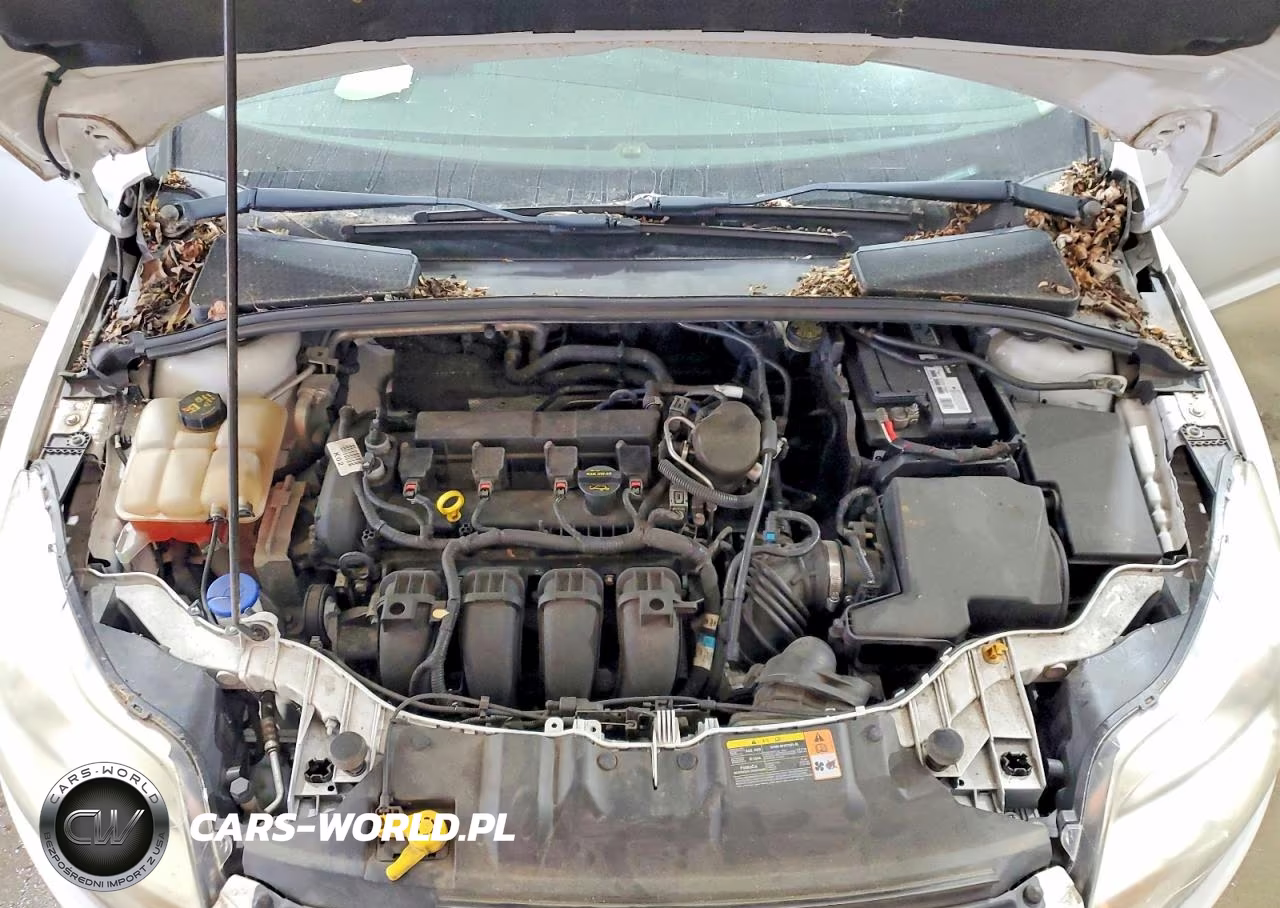 2014 Ford Focus Se VIN:1FADP3F20EL234027 - 11