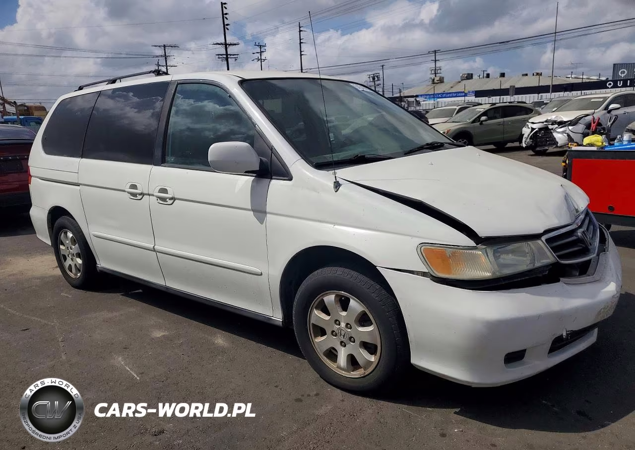 2004 Honda Odyssey Ex VIN:5FNRL18664B142194 - 4