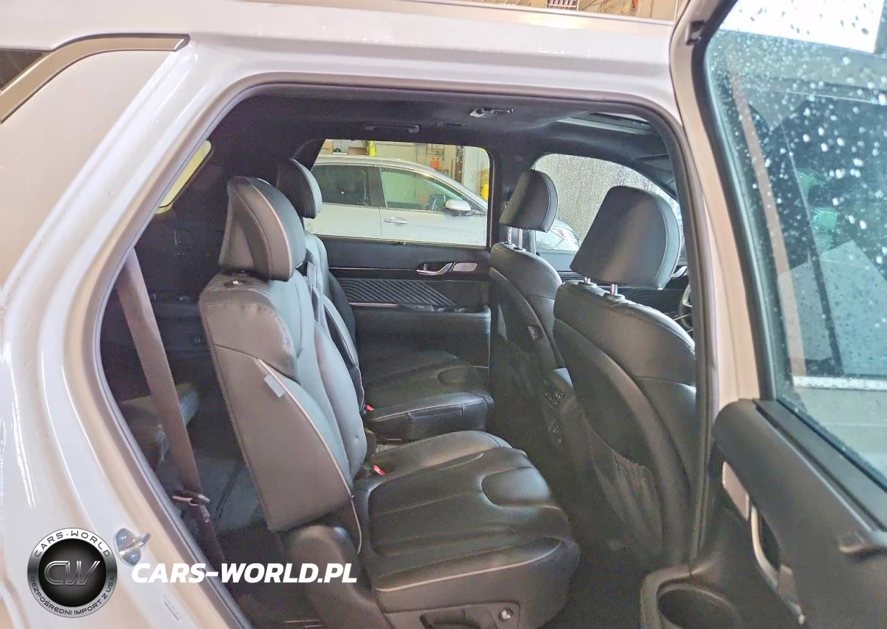 2025 Hyundai Palisade Calligraphy VIN:KM8R7DGE2SU880489 - 11