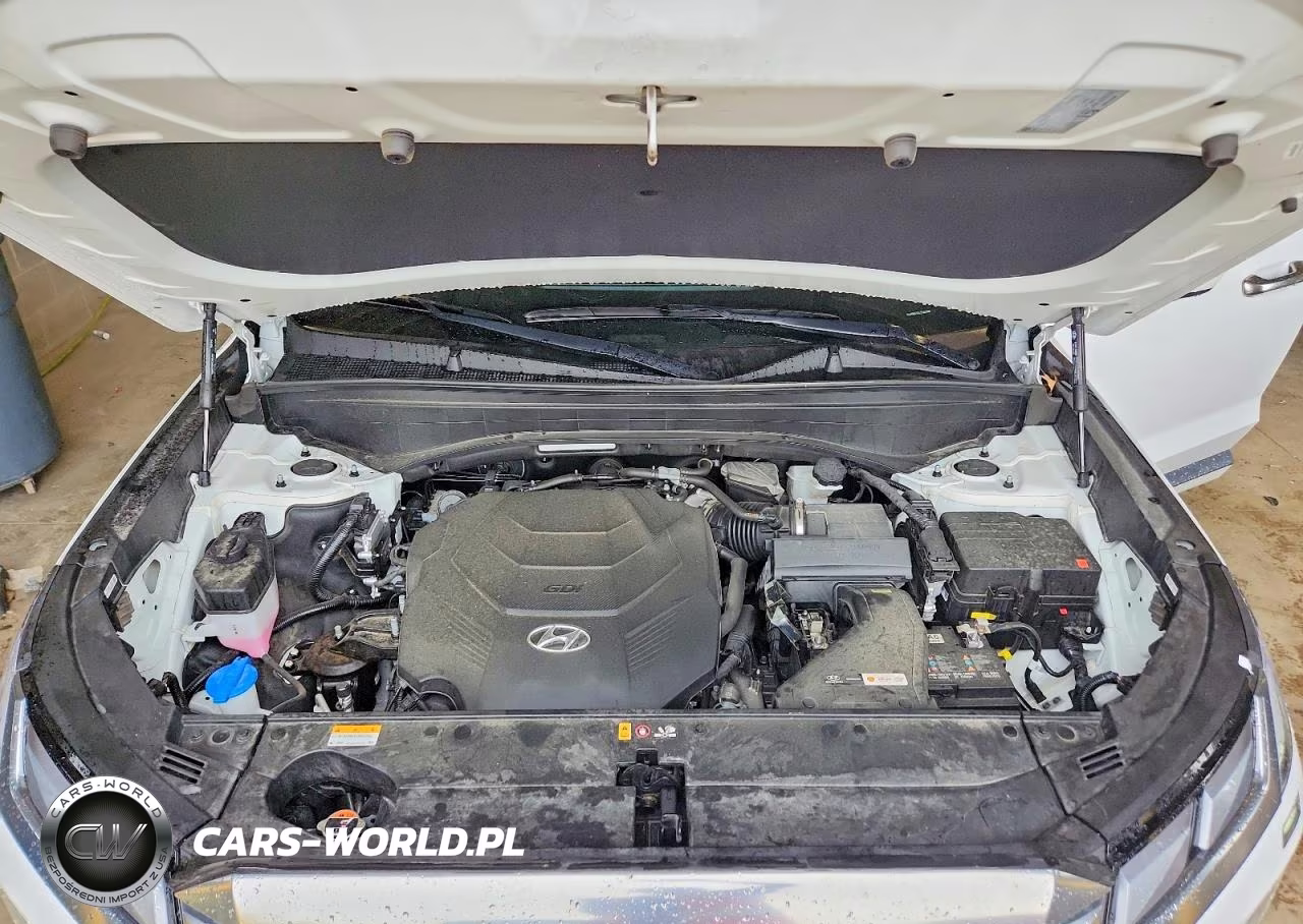2025 Hyundai Palisade Calligraphy VIN:KM8R7DGE2SU880489 - 12