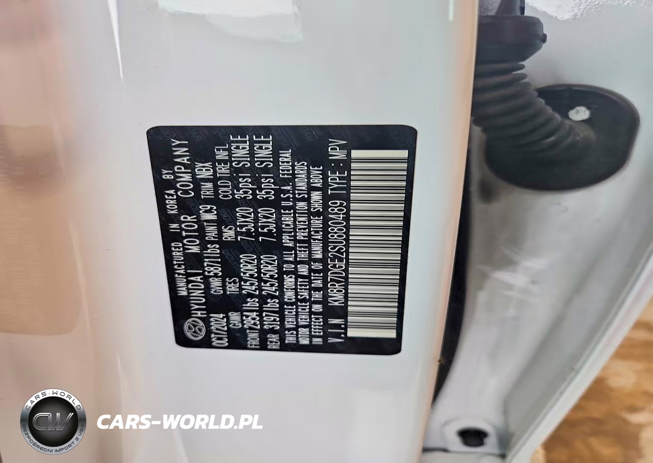 2025 Hyundai Palisade Calligraphy VIN:KM8R7DGE2SU880489 - 13