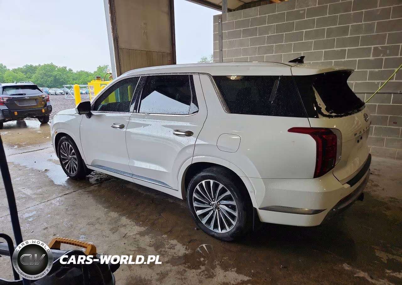 2025 Hyundai Palisade Calligraphy VIN:KM8R7DGE2SU880489 - 2