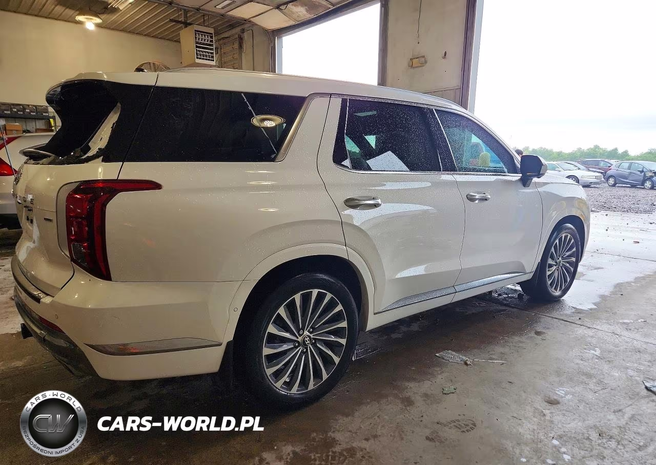 2025 Hyundai Palisade Calligraphy VIN:KM8R7DGE2SU880489 - 3