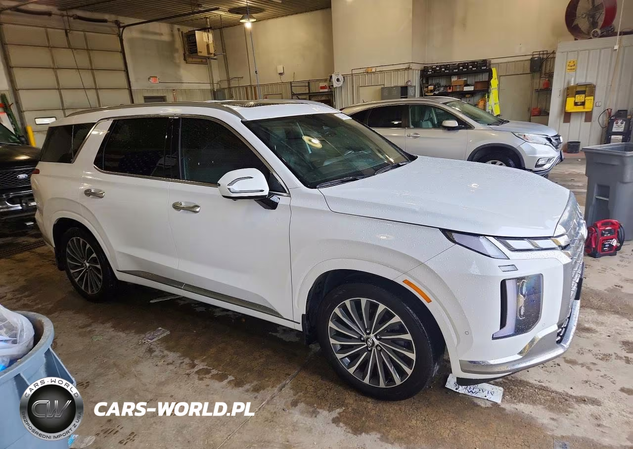 2025 Hyundai Palisade Calligraphy VIN:KM8R7DGE2SU880489 - 4