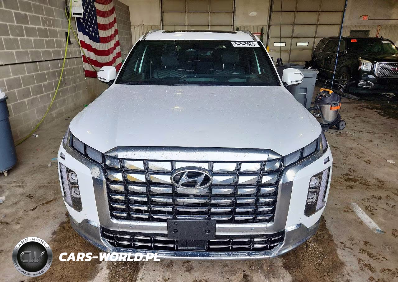 2025 Hyundai Palisade Calligraphy VIN:KM8R7DGE2SU880489 - 5
