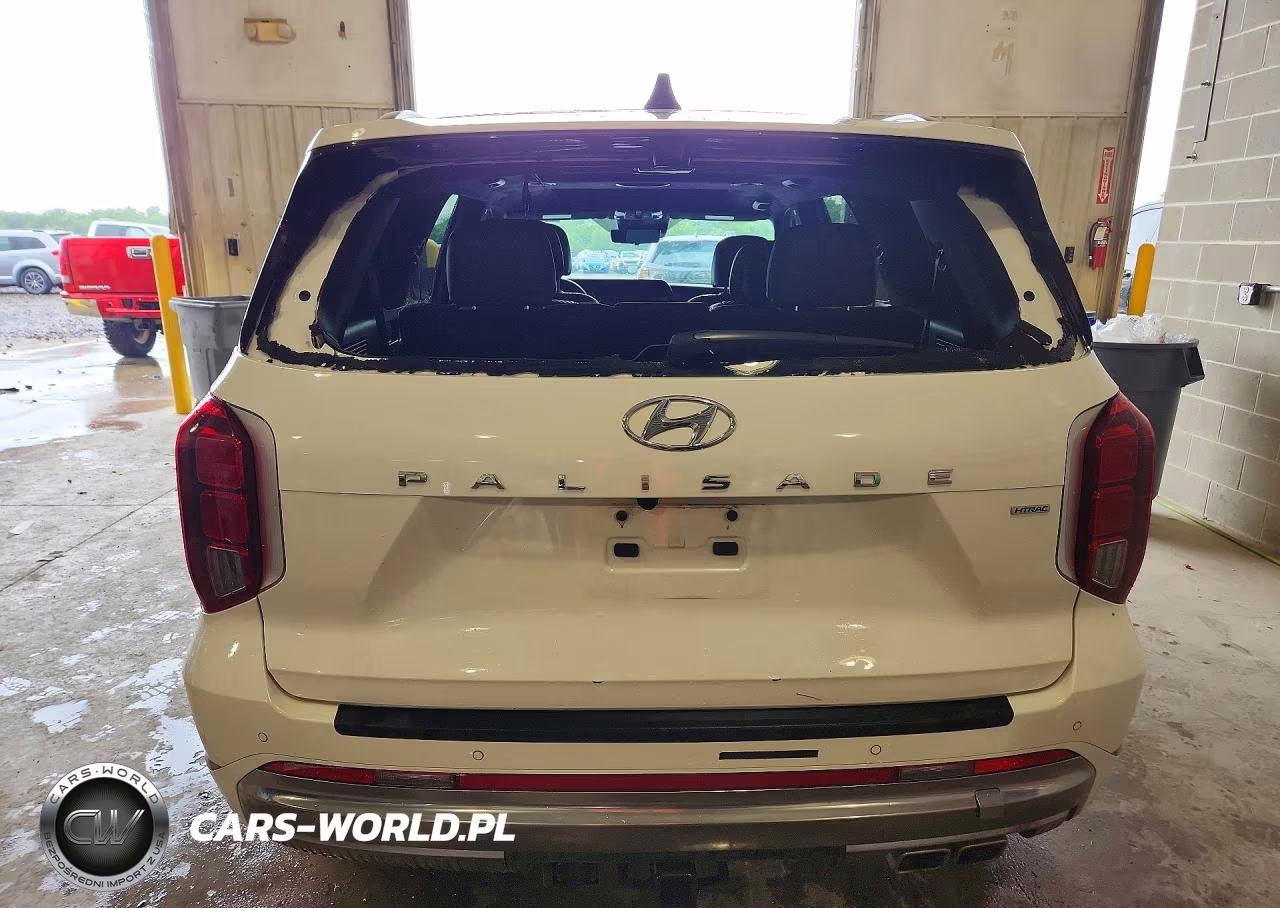 2025 Hyundai Palisade Calligraphy VIN:KM8R7DGE2SU880489 - 6