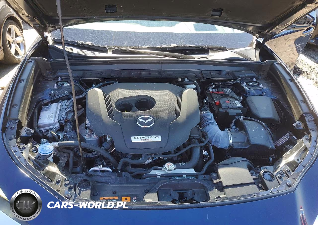 2022 Mazda Cx-30 Premium Plus VIN:3MVDMBEY7NM459013 - 12