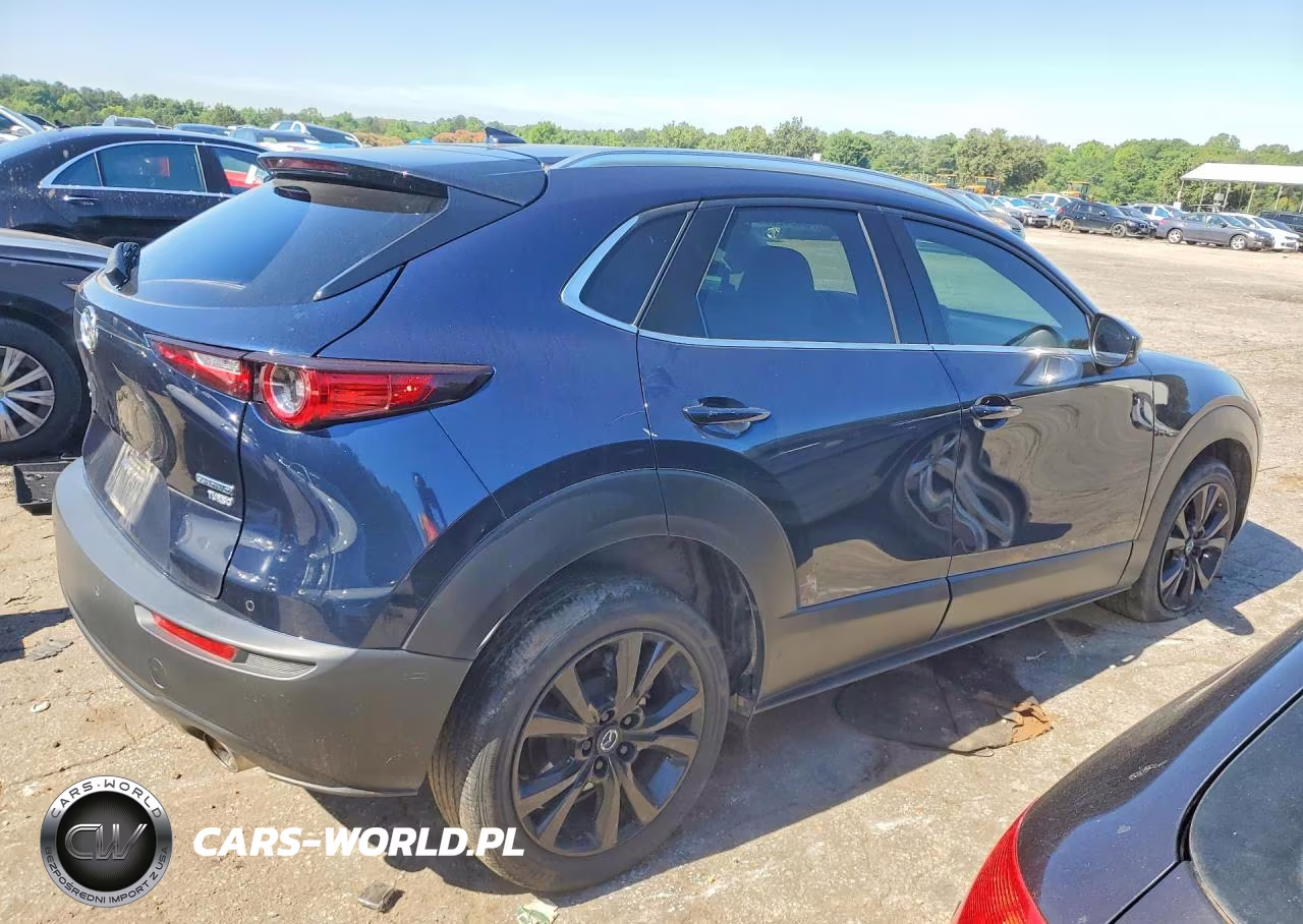 2022 Mazda Cx-30 Premium Plus VIN:3MVDMBEY7NM459013 - 3