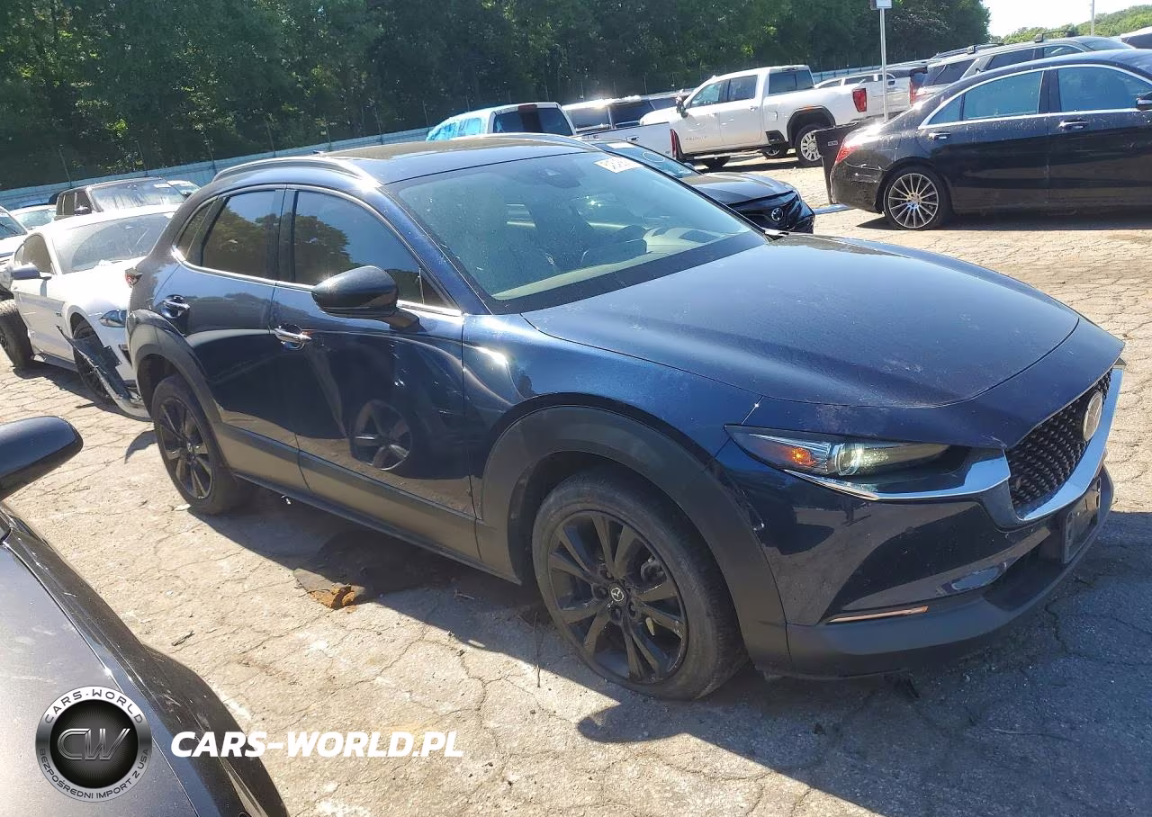 2022 Mazda Cx-30 Premium Plus VIN:3MVDMBEY7NM459013 - 4