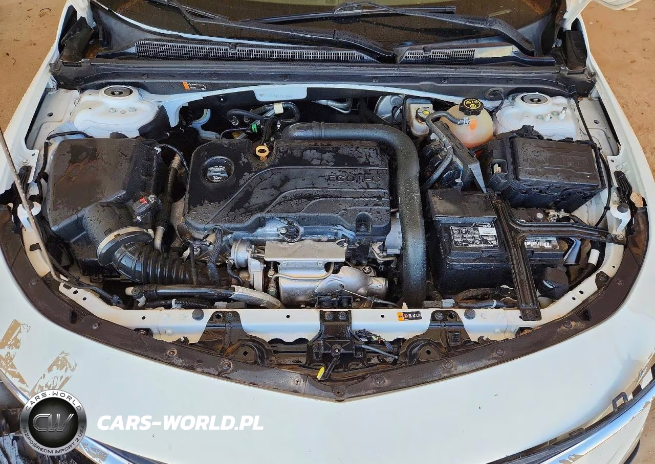 2019 Chevrolet Malibu Lt VIN:1G1ZD5ST5KF137105 - 11