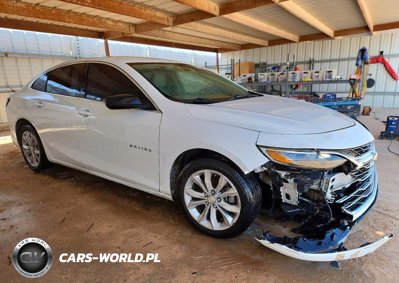 2019 Chevrolet Malibu Lt VIN:1G1ZD5ST5KF137105 - 4