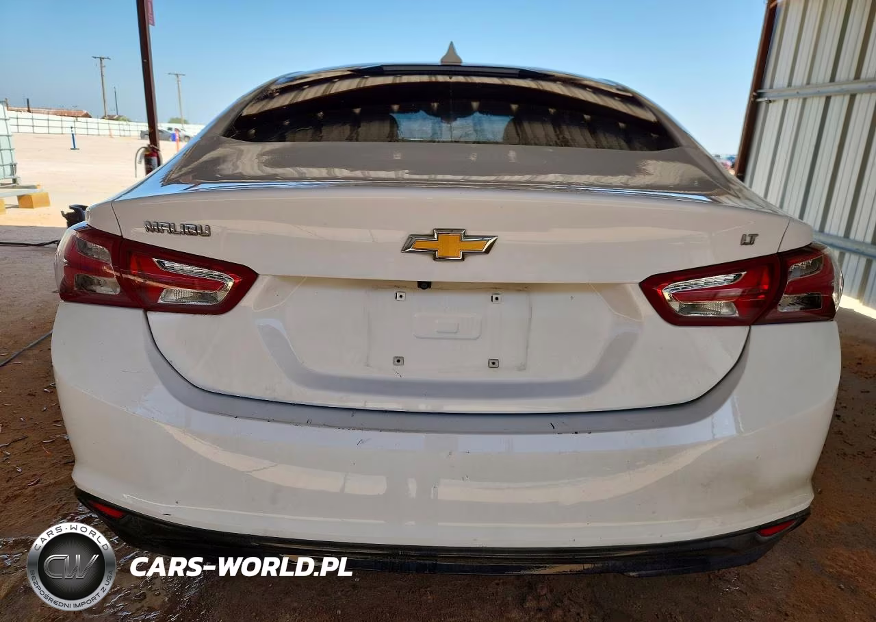 2019 Chevrolet Malibu Lt VIN:1G1ZD5ST5KF137105 - 6