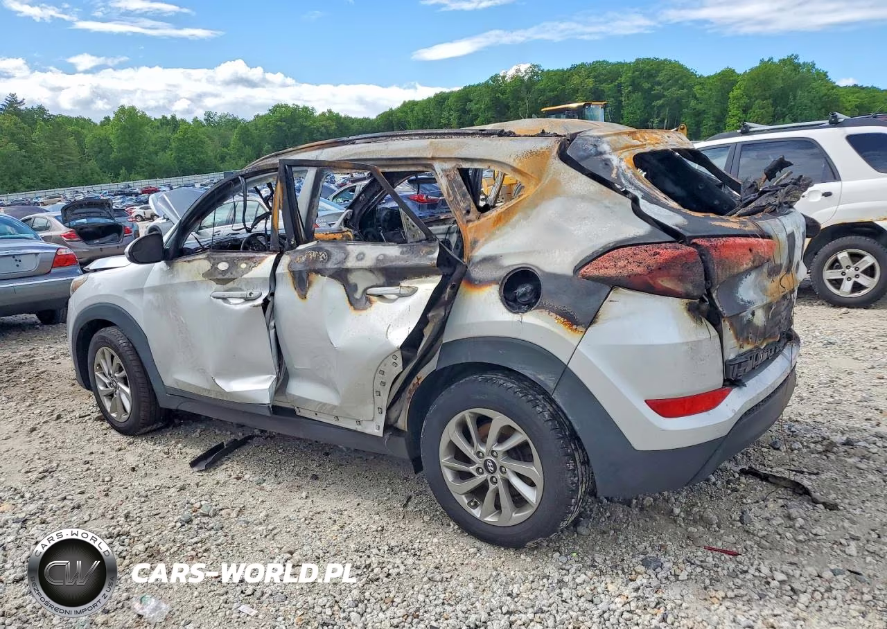 2016 Hyundai Tucson Se VIN:KM8J3CA48GU162889 - 2