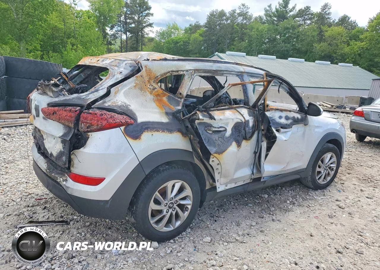 2016 Hyundai Tucson Se VIN:KM8J3CA48GU162889 - 3