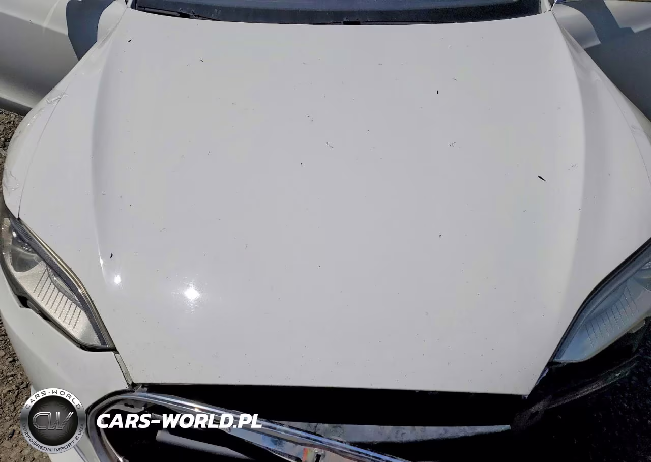 2014 Tesla Model S VIN:5YJSA1S1XEFP28791 - 12