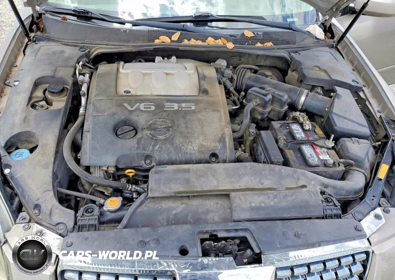 2006 Nissan Maxima 3.5 Se VIN:1N4BA41E16C809950 - 11