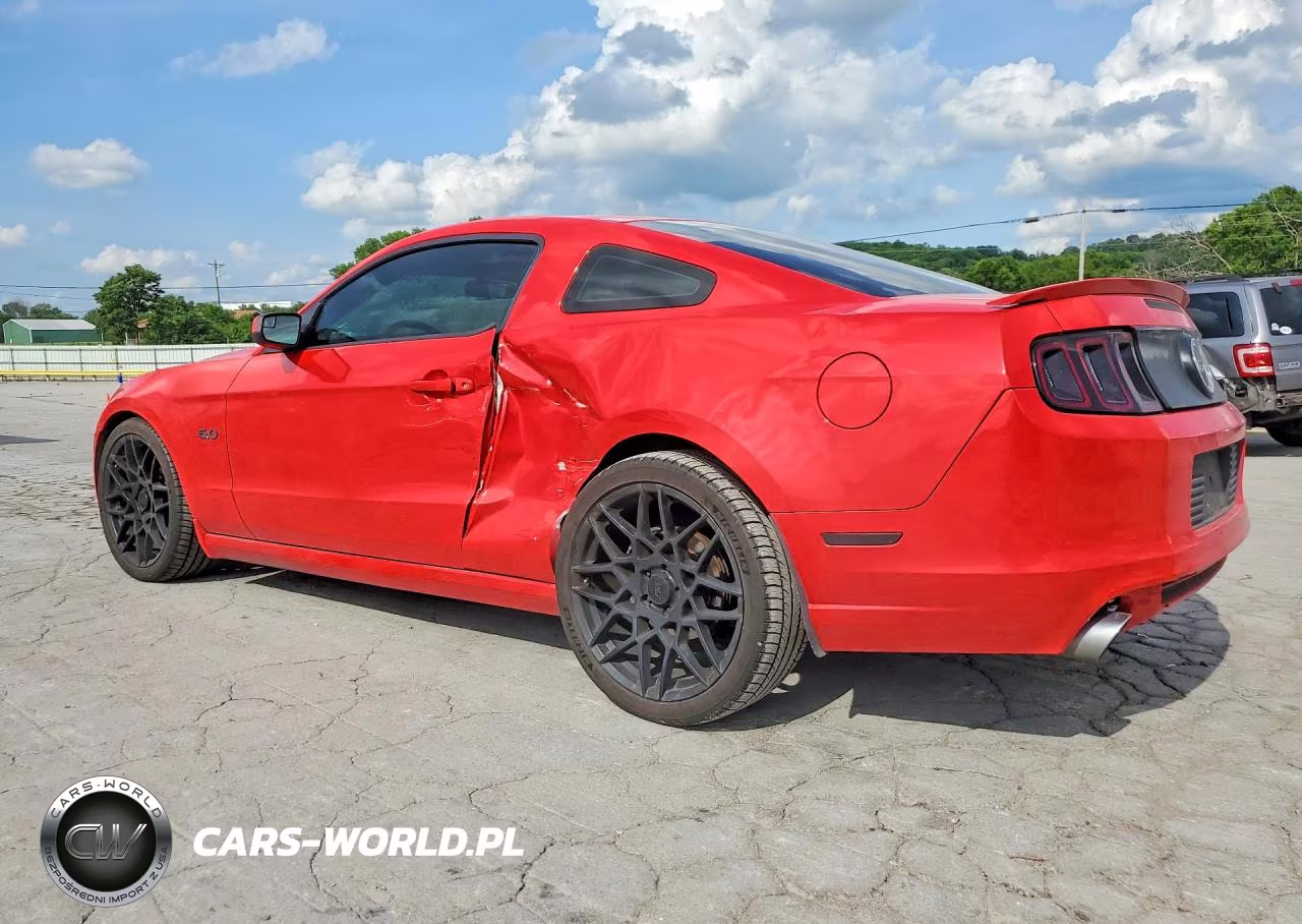 2014 Ford Mustang Gt VIN:1ZVBP8CF3E5206763 - 2