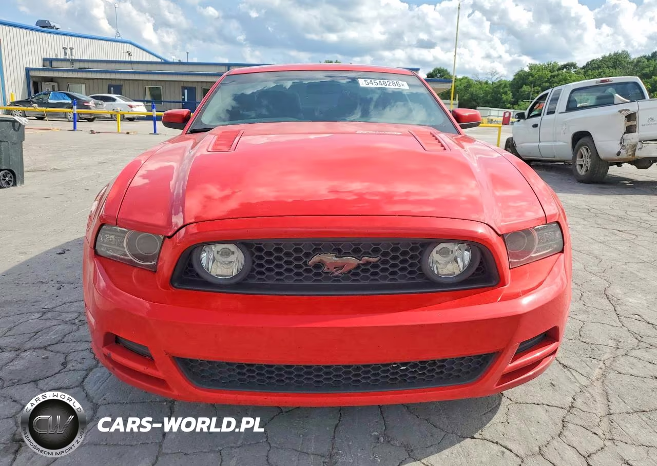 2014 Ford Mustang Gt VIN:1ZVBP8CF3E5206763 - 5
