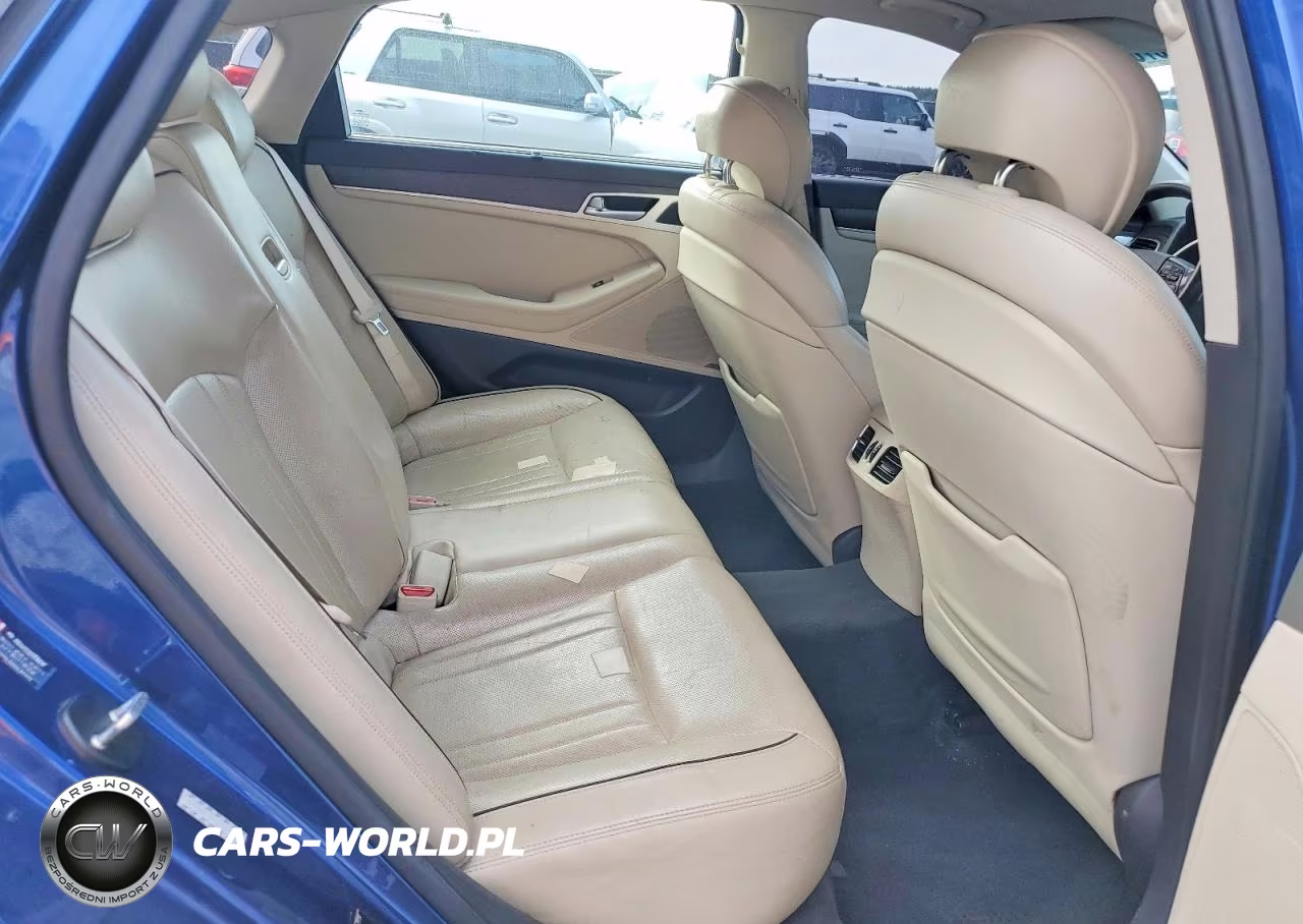 2016 Hyundai Genesis 3.8L VIN:KMHGN4JE1GU107090 - 10