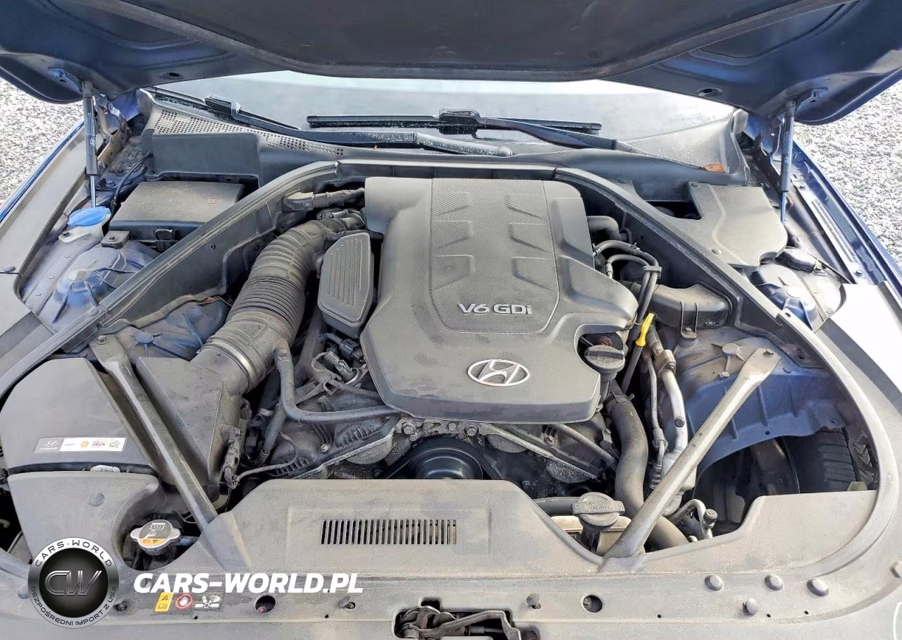 2016 Hyundai Genesis 3.8L VIN:KMHGN4JE1GU107090 - 11