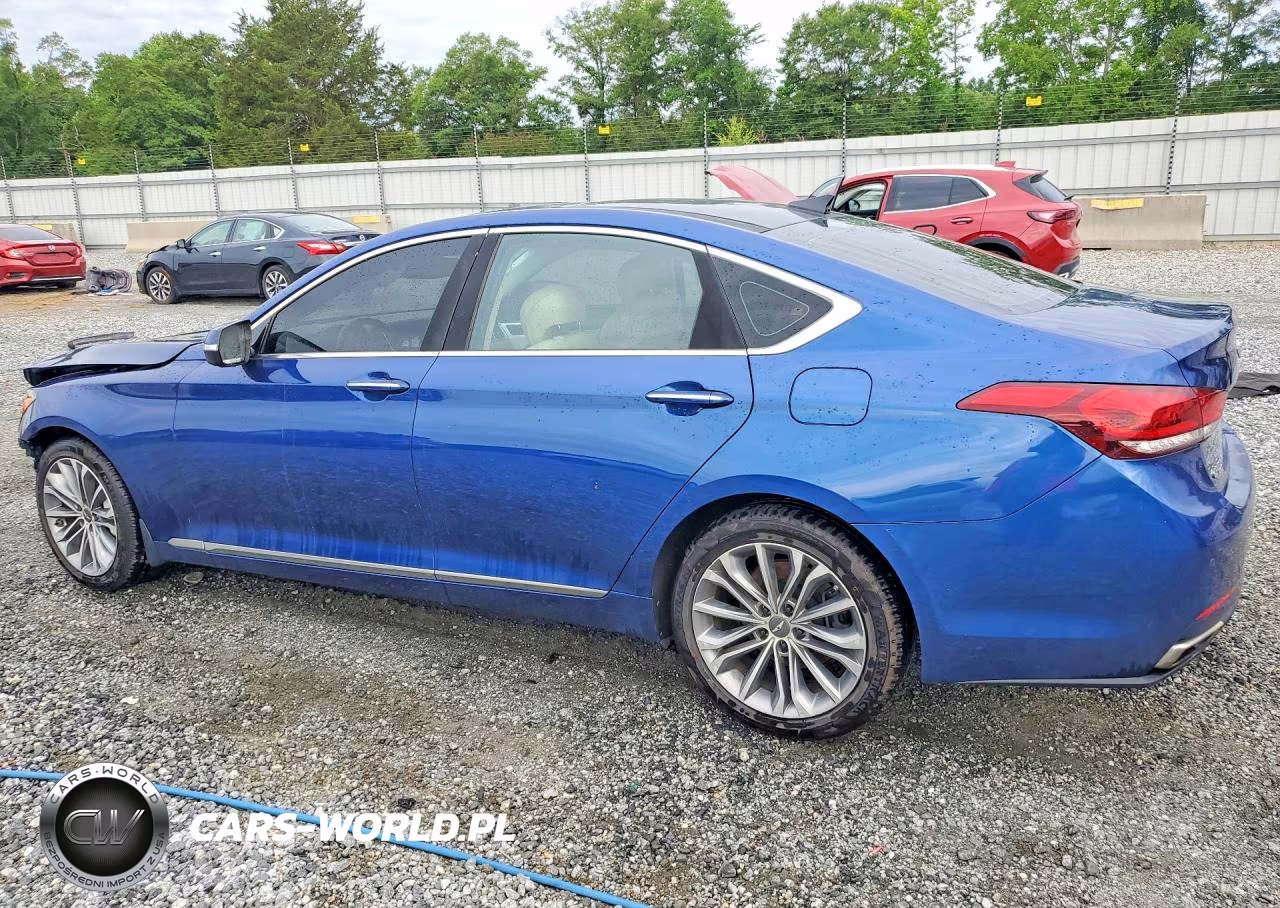2016 Hyundai Genesis 3.8L VIN:KMHGN4JE1GU107090 - 2