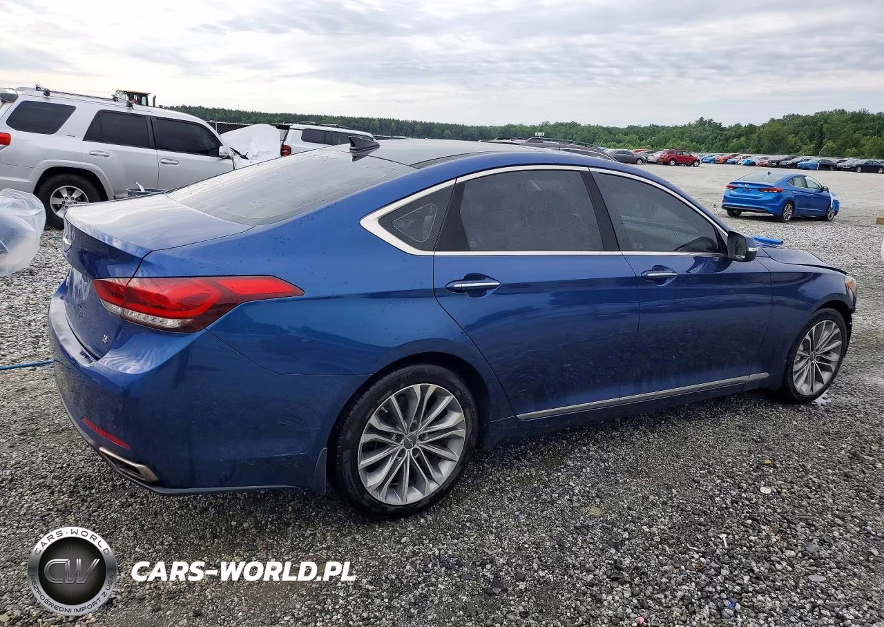 2016 Hyundai Genesis 3.8L VIN:KMHGN4JE1GU107090 - 3