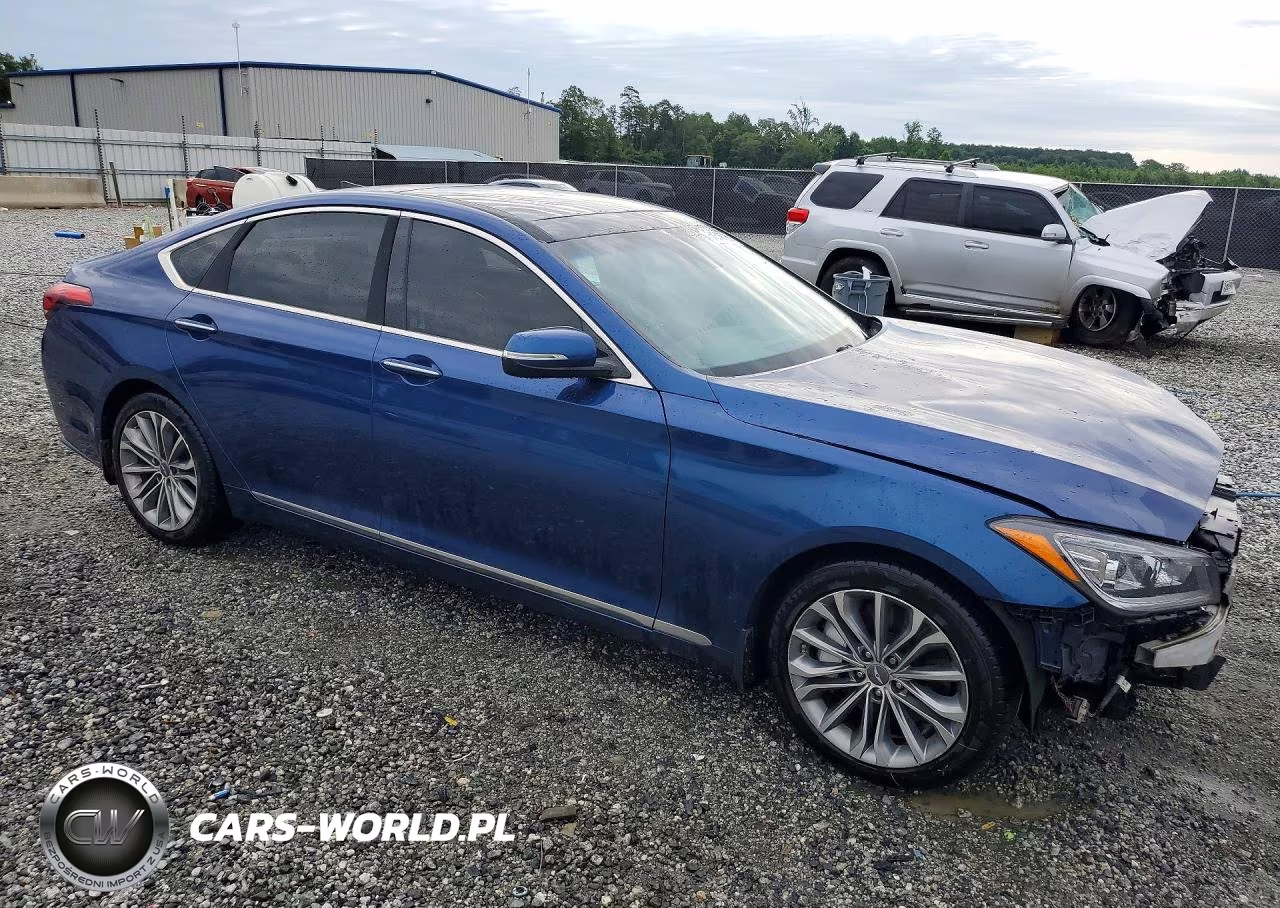 2016 Hyundai Genesis 3.8L VIN:KMHGN4JE1GU107090 - 4