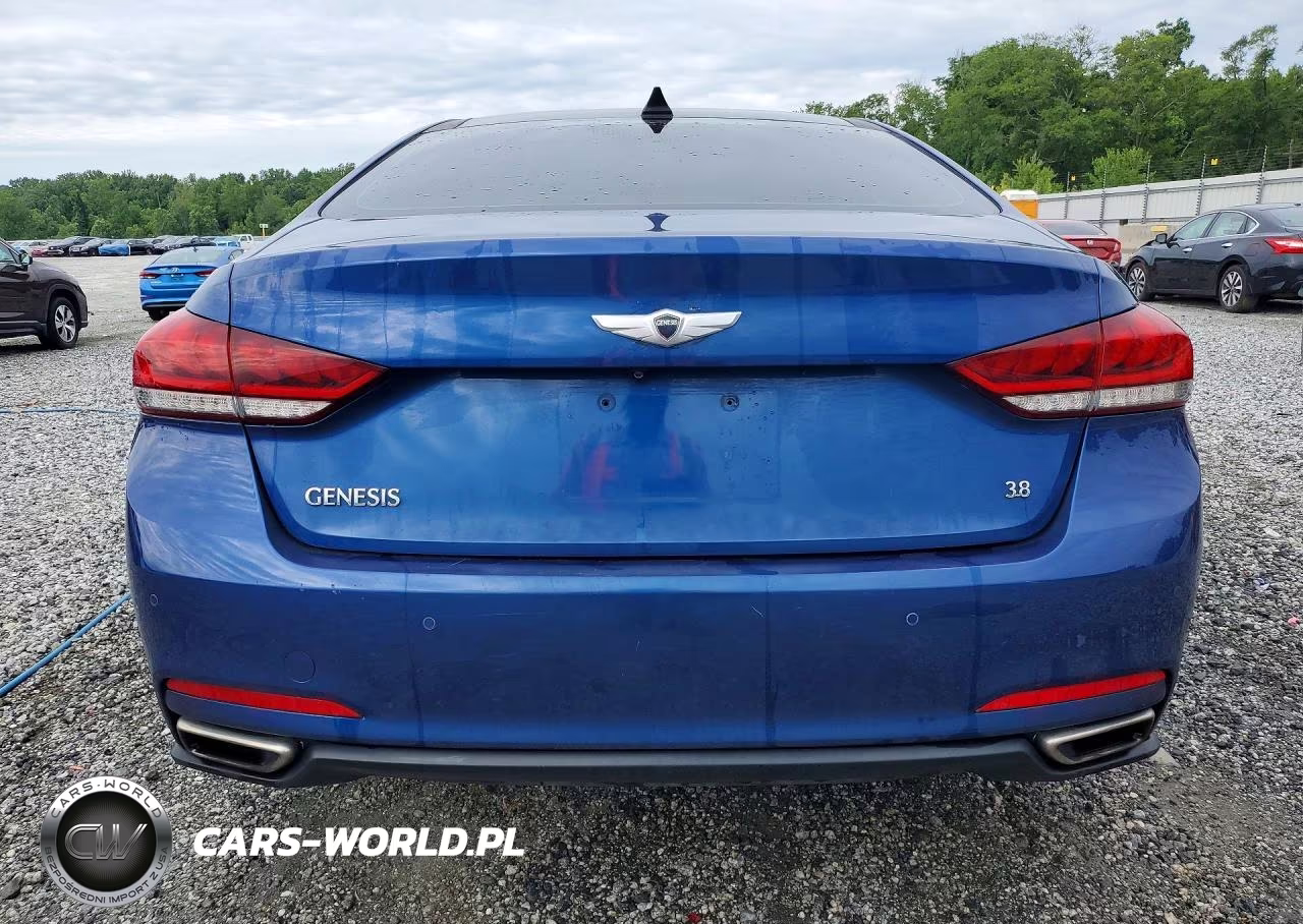 2016 Hyundai Genesis 3.8L VIN:KMHGN4JE1GU107090 - 6