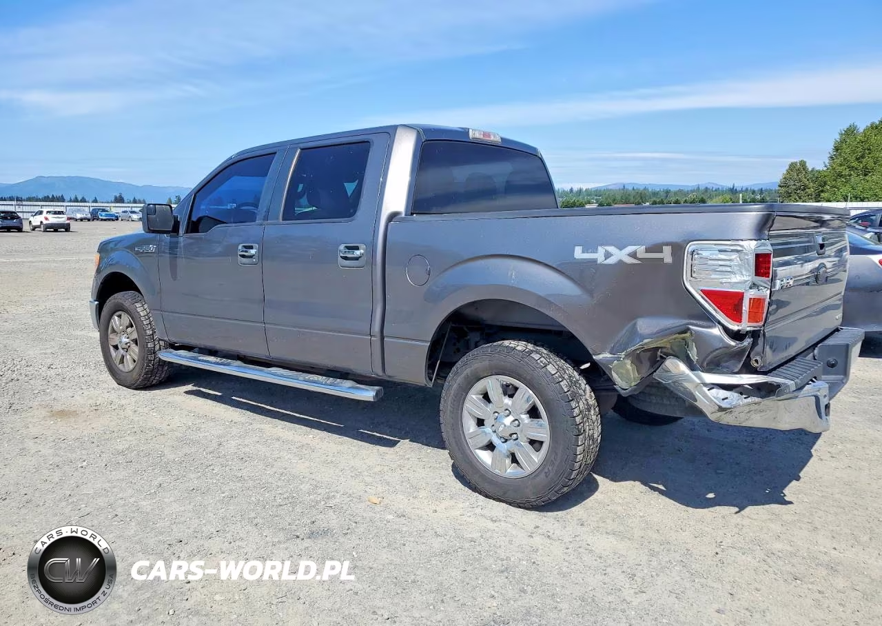 2011 Ford F150 Supercrew VIN:1FTFW1EF0BFB08677 - 2