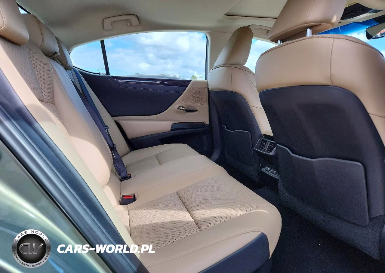 2020 Lexus Es 300H VIN:58AD21B1XLU010012 - 10