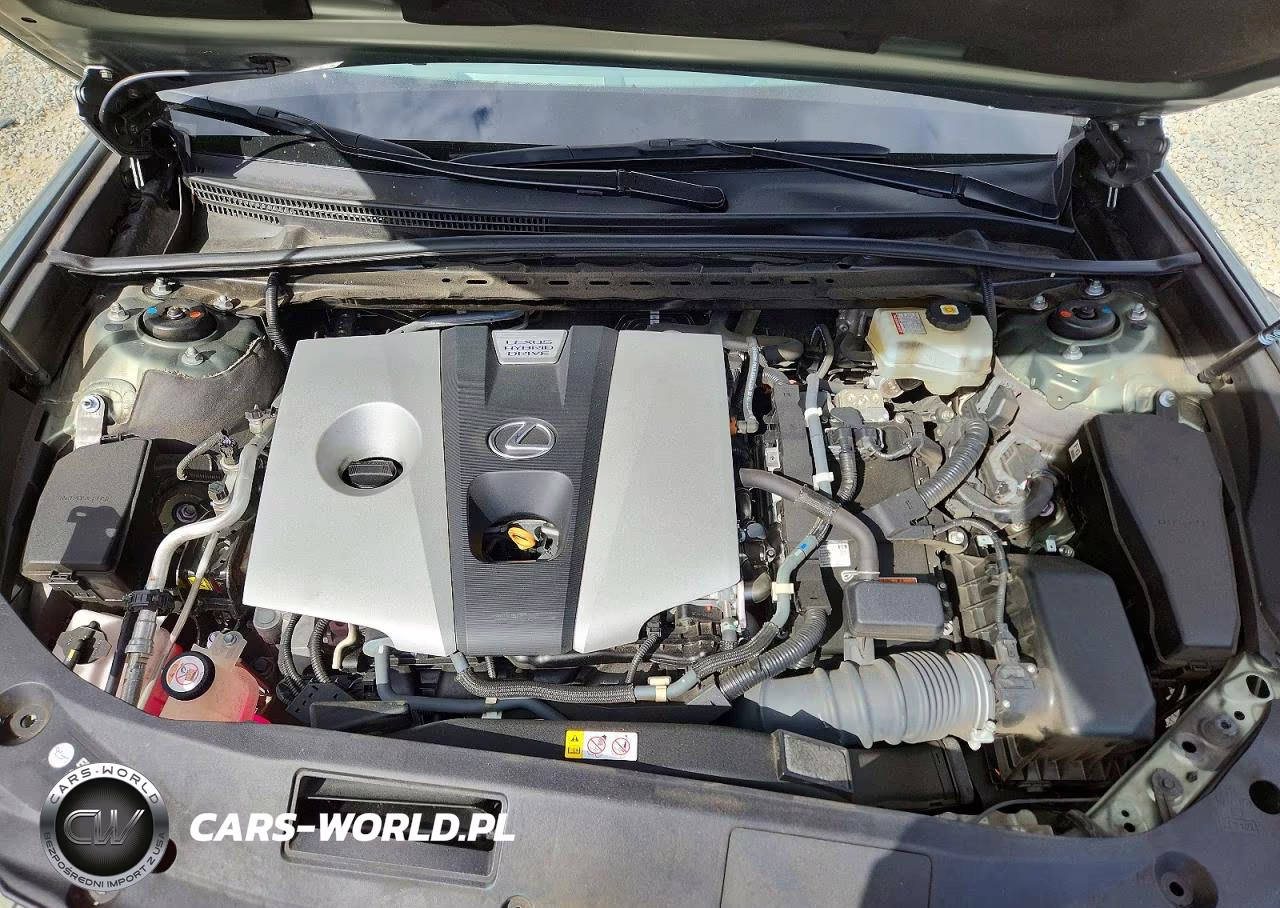 2020 Lexus Es 300H VIN:58AD21B1XLU010012 - 11