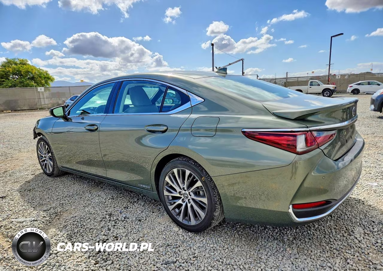 2020 Lexus Es 300H VIN:58AD21B1XLU010012 - 2