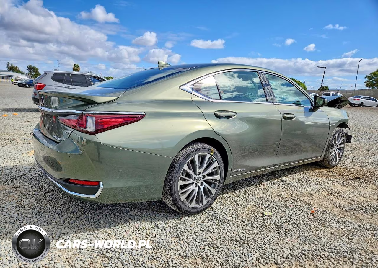 2020 Lexus Es 300H VIN:58AD21B1XLU010012 - 3